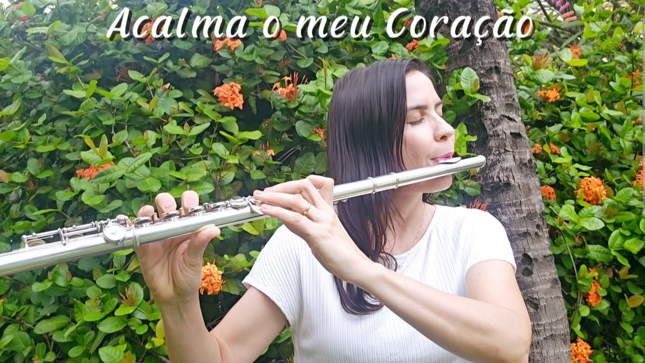 Acalma o meu Cora&ccedil;&atilde;o - Flauta transversal