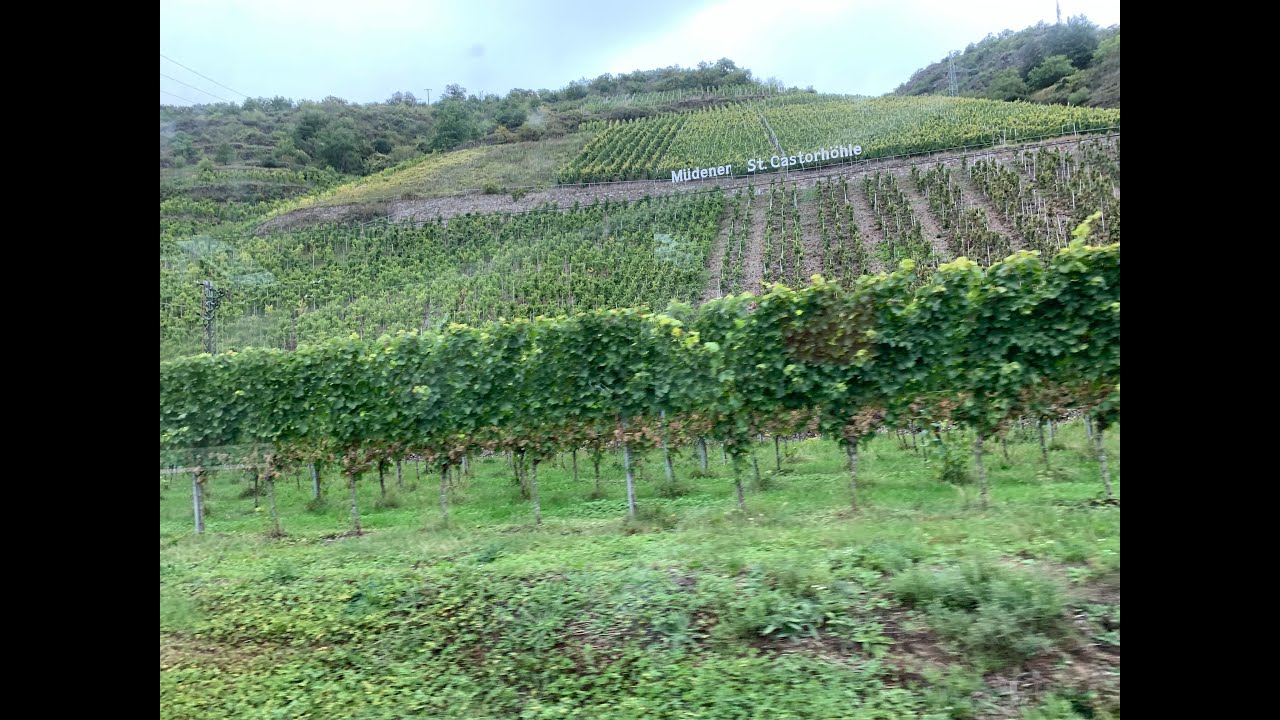 Mosel i regenvejr