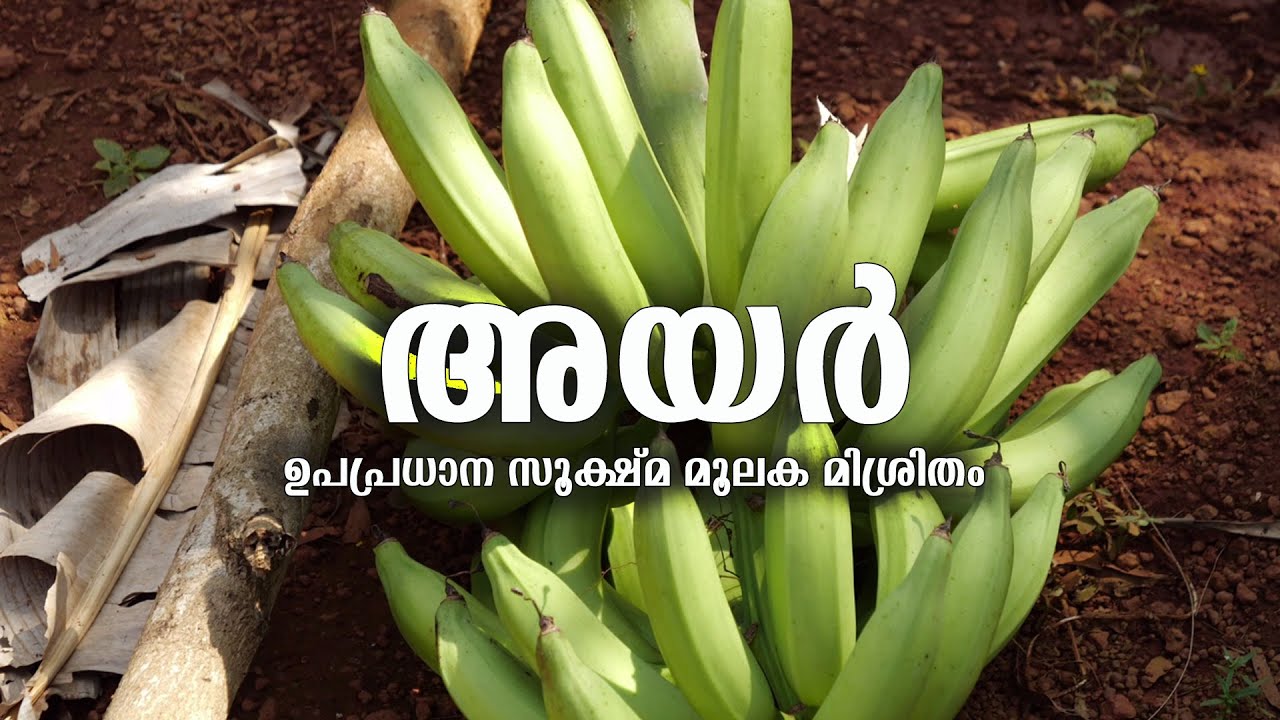 IMPACT OF AYAR | കർഷകരുടെ പ്രതികരണം | KAU TECHNOLOGY IMPACT EP-01