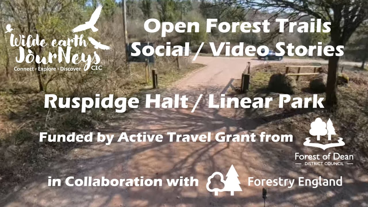 Walk - Ruspidge Halt, Linear Park, Video/Social Stories #AccessToNature #ActiveTravel