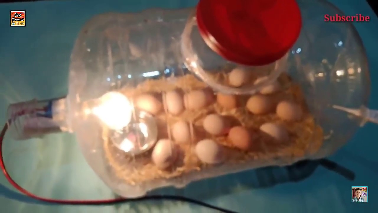 KULUÇKA MAKİNESİ YAPIMI DENEYAP