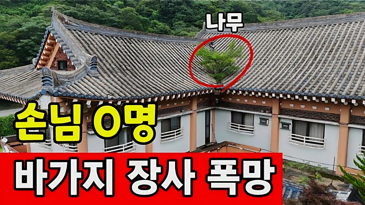내장산 단풍 삐끼들 바가지 장사 ☆ 지자체와 기레기들