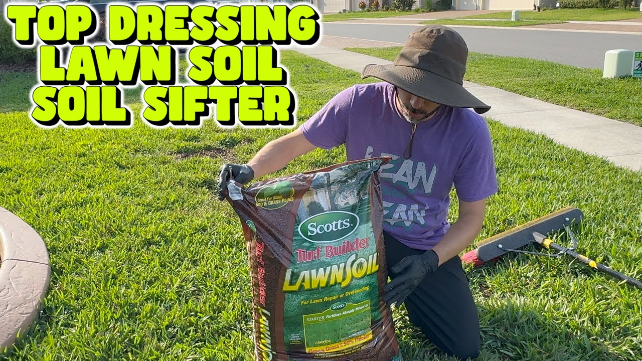 Lawn Soil Top Dressing Lawn Level - St Augustine Grass