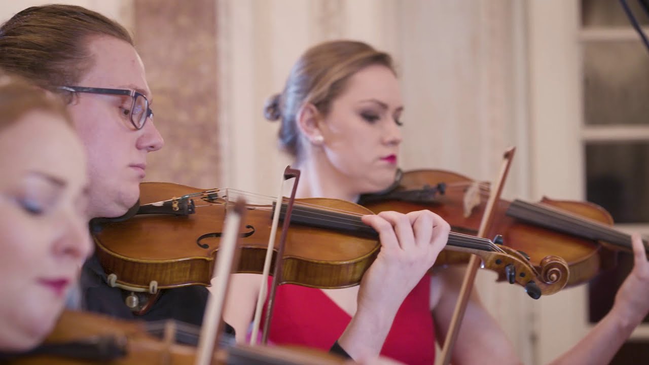 Tchaikovsky The Sleeping Beauty violin solo Act II no. 18 Entr'acte