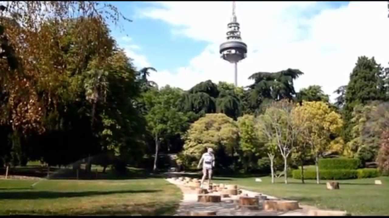 LOS MADRILES