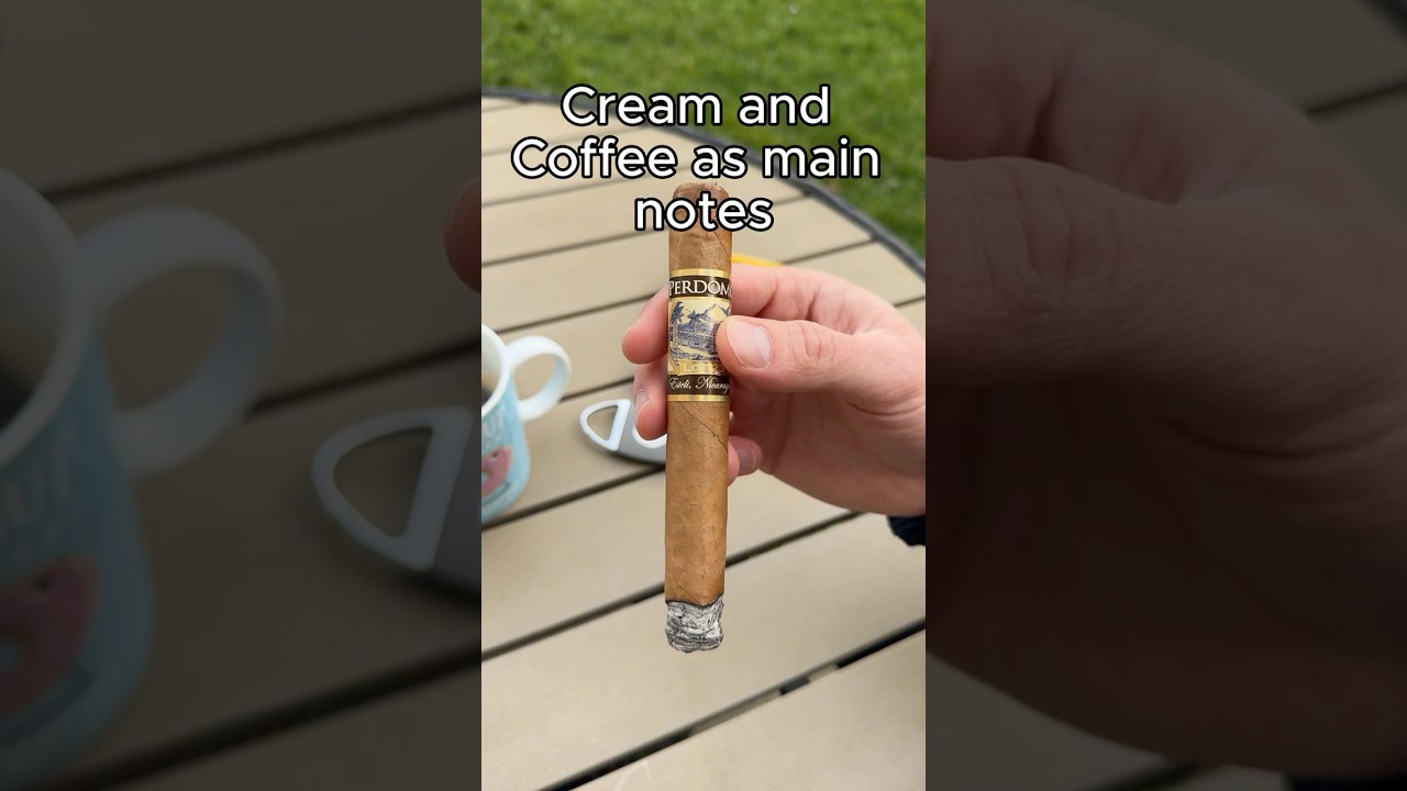 Perdomo Lot 23 Cigar ASMR 🔥