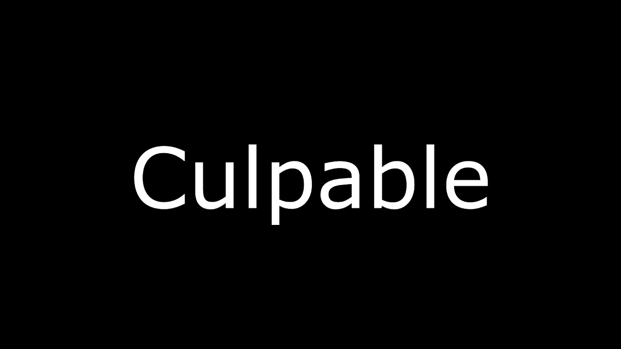 Culpable - Leo Segarra