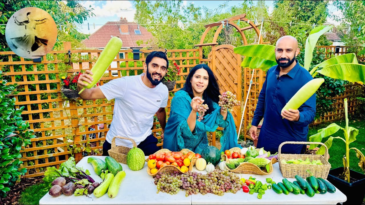 Mega harvest grapes and vegetables of the season