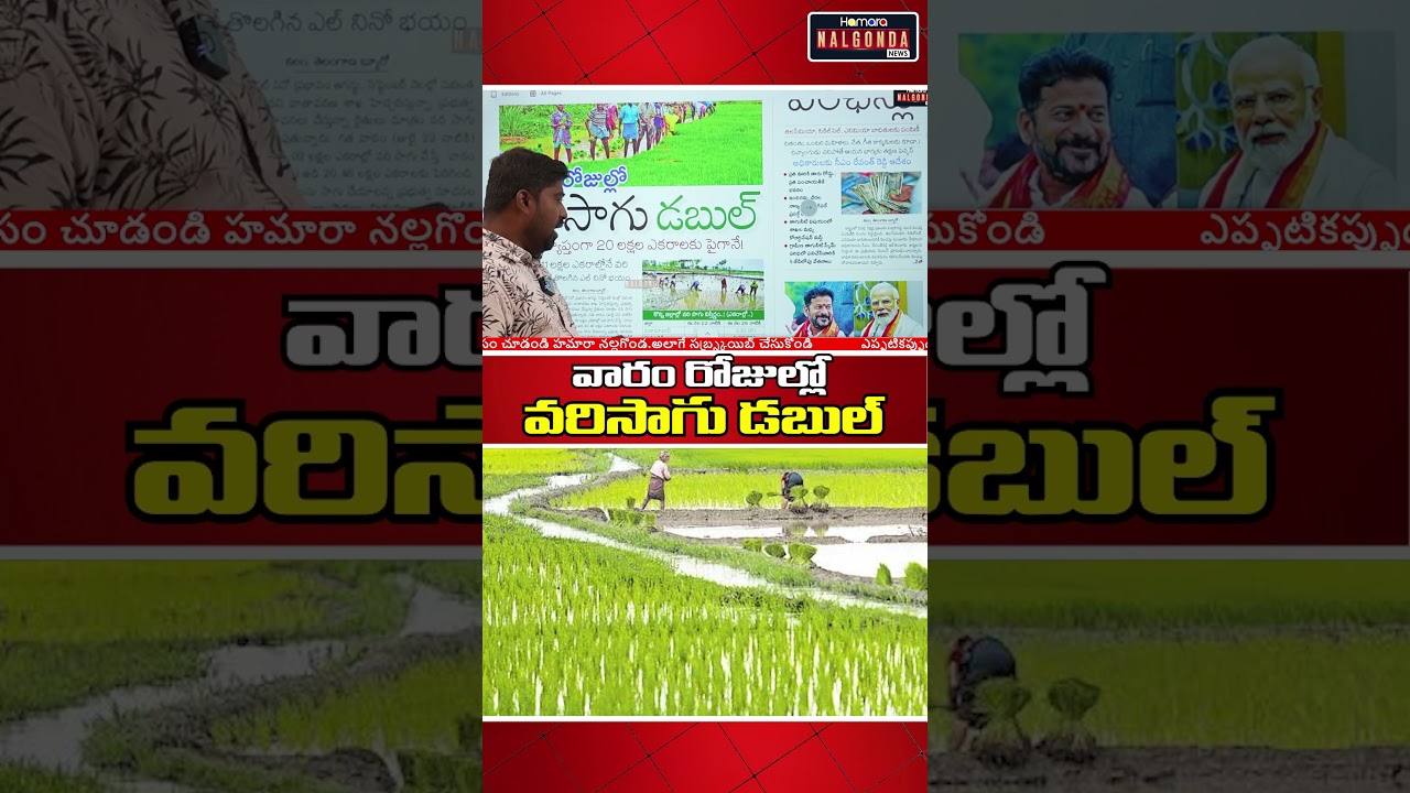 Paddy cultivation doubles in a week... | #latestnews #nalgonda #news #topnews #viralvideo #telugu...