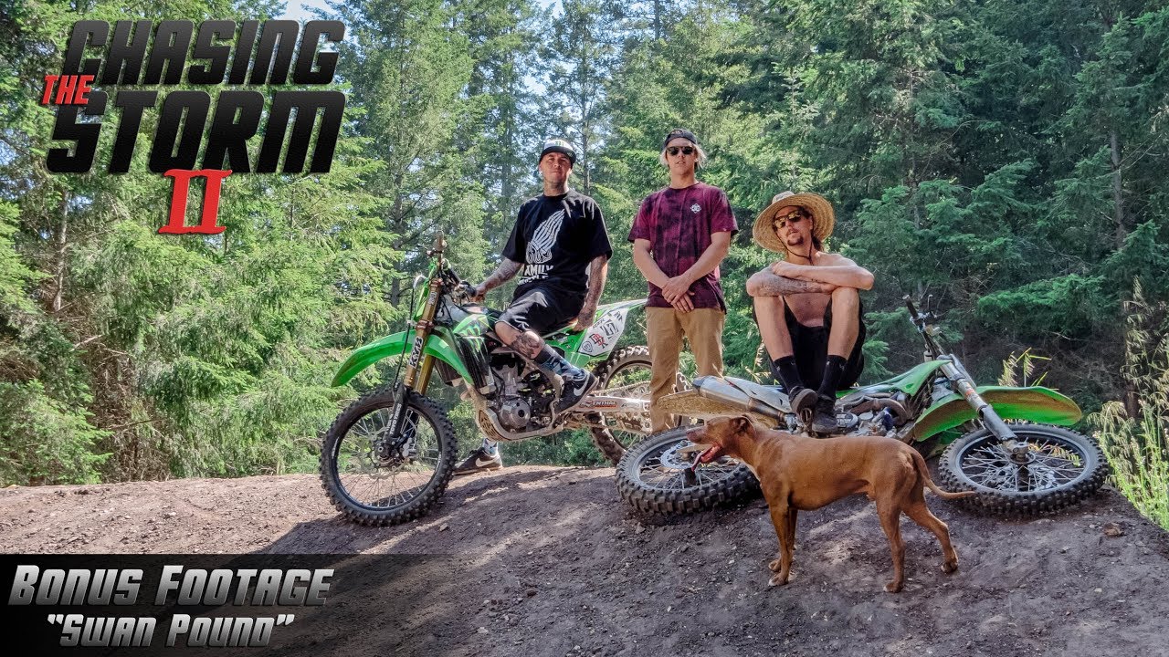 Chasing The Storm 2 - Swan Pound Bonus