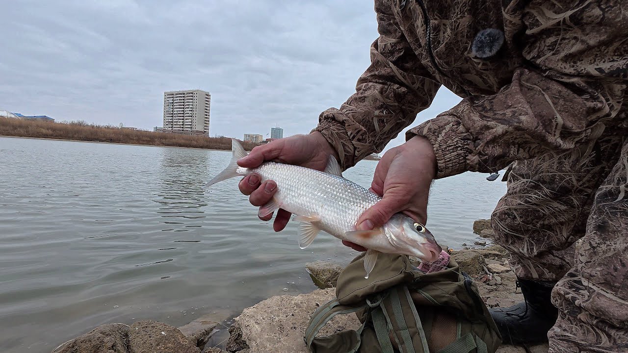 Это городское место для рыбалки просто БЕЗУМНОЕ / This Urban Fishing Spot is INSANE