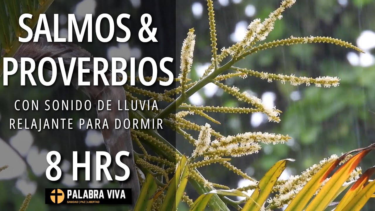 Salmos y Proverbios para dormir | Sonidos de Lluvia | Sin música | 8 HRS