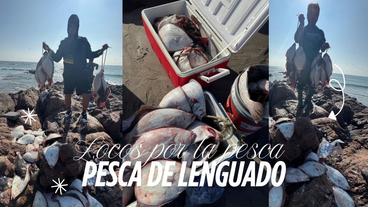 PESCA DE LENGUADOS IQUIQUE 2025- POZON DE ORO FULL FULL LENGUADO. LOCOS POR LA PESCA IQUIQUE