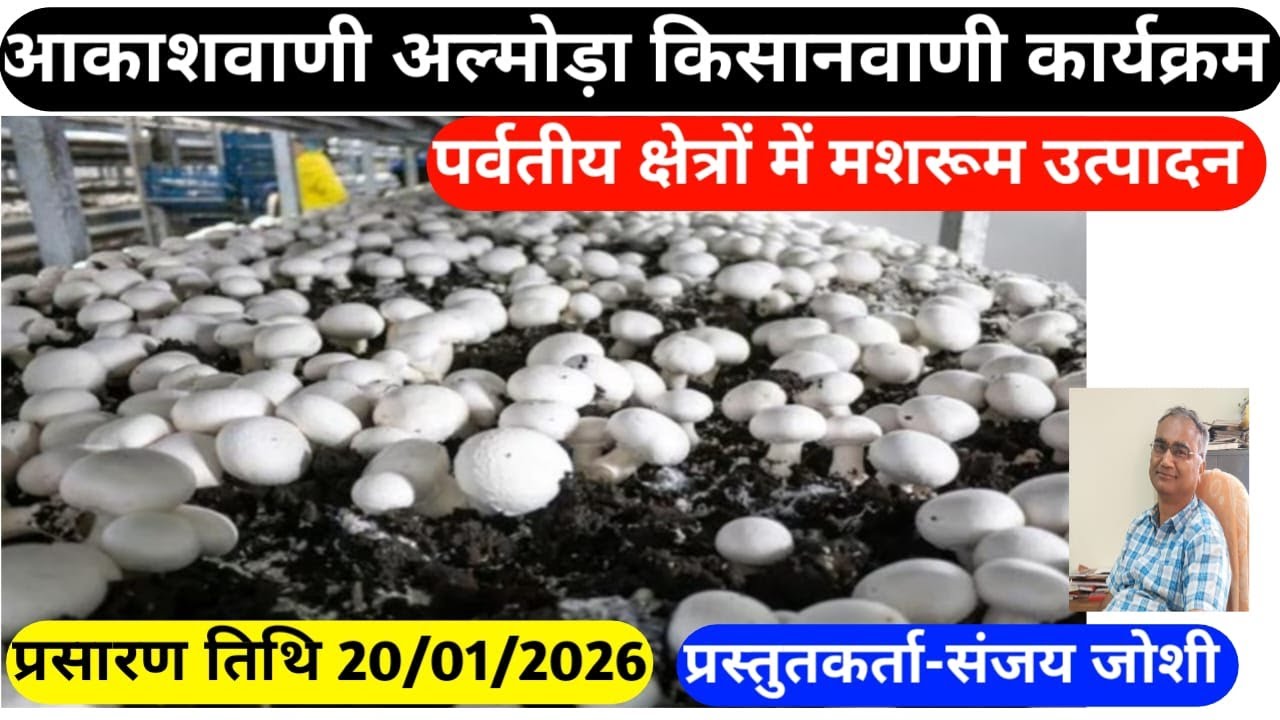 Kissan vanni dob 20-01-2026 compered by krishna latwal presenter -SANJAY JOSHI