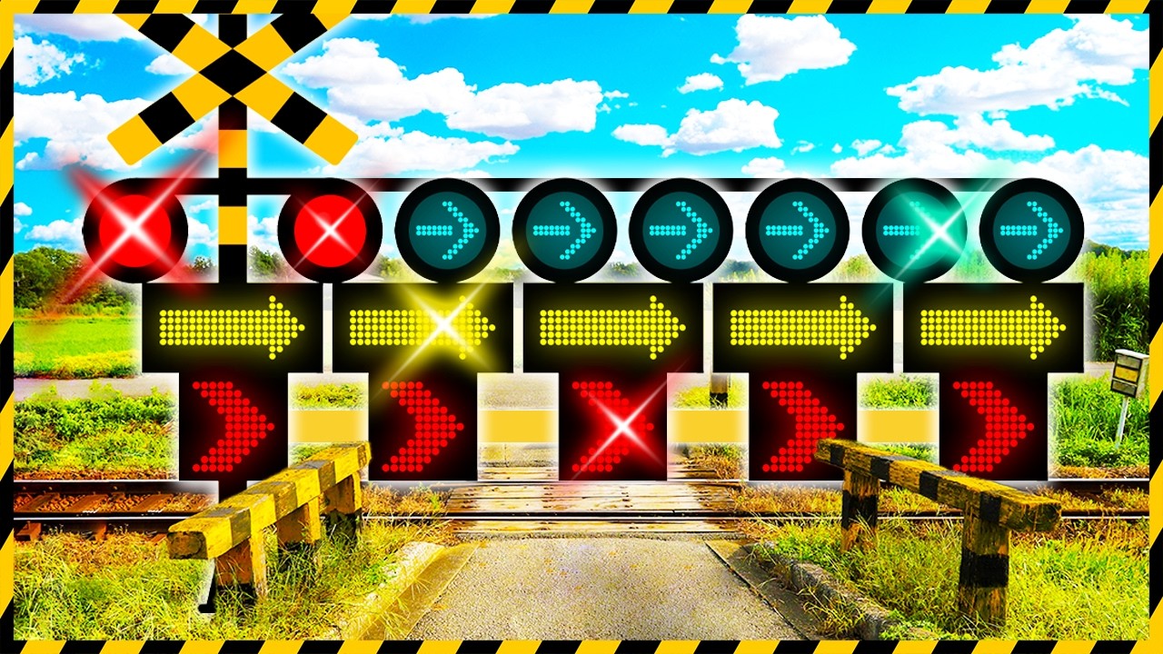 【踏切アニメLIVE】 #225 今日はどんなカンカン踏切ハプニング？｜毎日更新中！