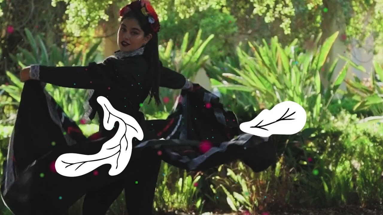 CUMBIAMBERITA -  Mariachi Garibaldi (Video)