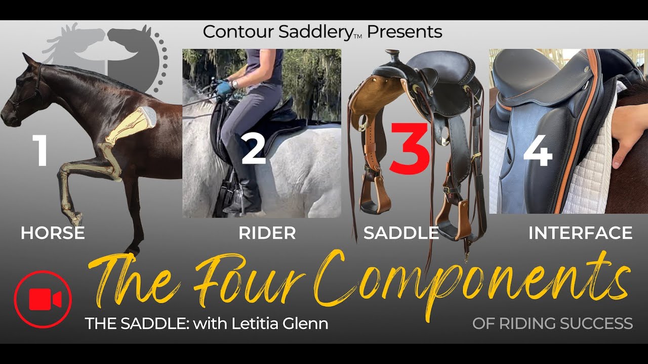 The 4 Components of Riding - #3 - The Saddle