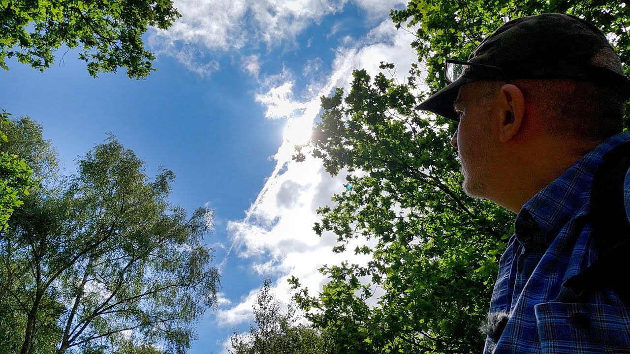 Woodland Photography From Sherwood Forest During A Partial UK Solar Eclipse