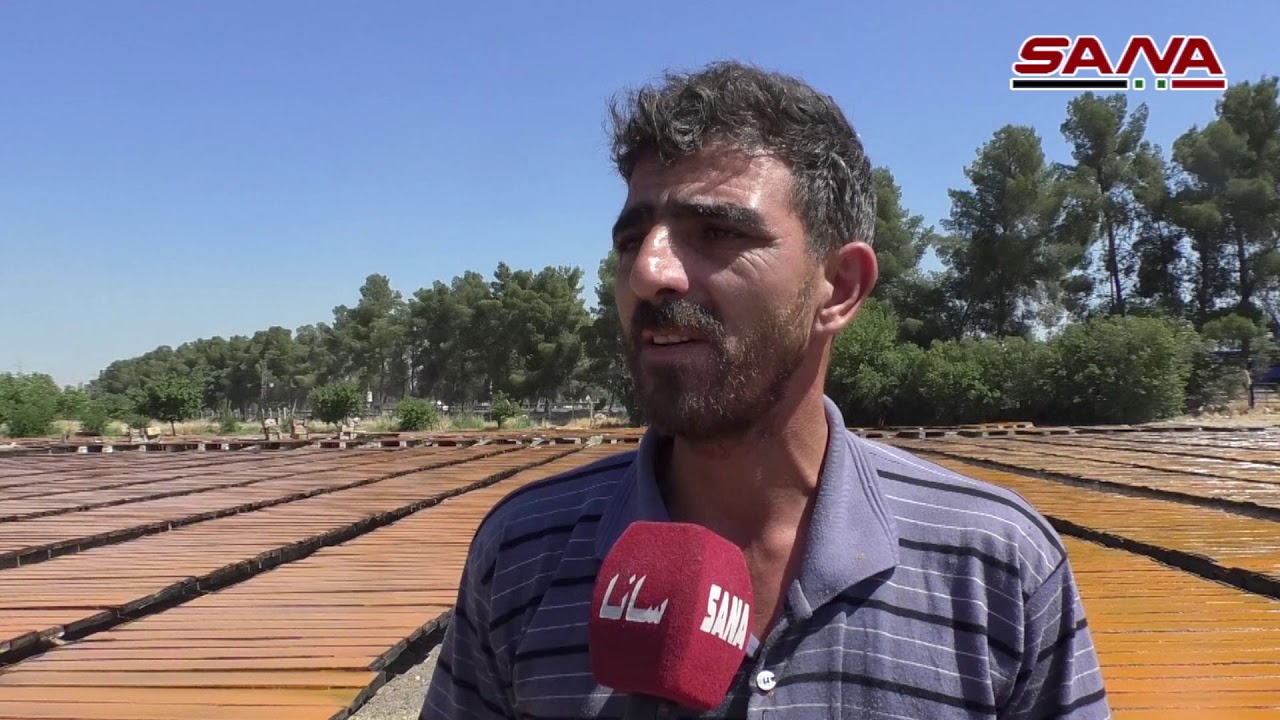 تتفرد دمشق وريفها بإنتاجه منذ مئات السنين.. (قمر الدين) صناعة أهدتها سورية للعالم