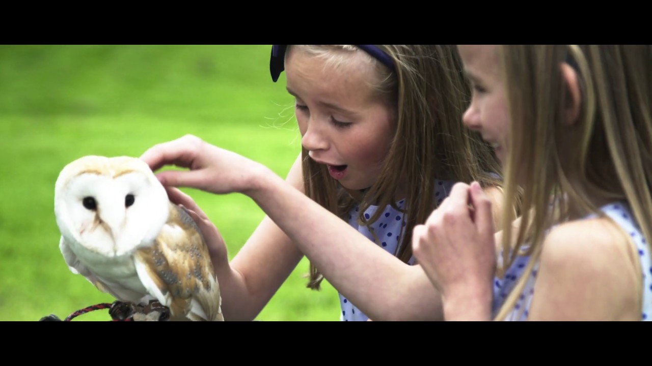 Self Catering Accommodation at Parknasilla Resort & Spa