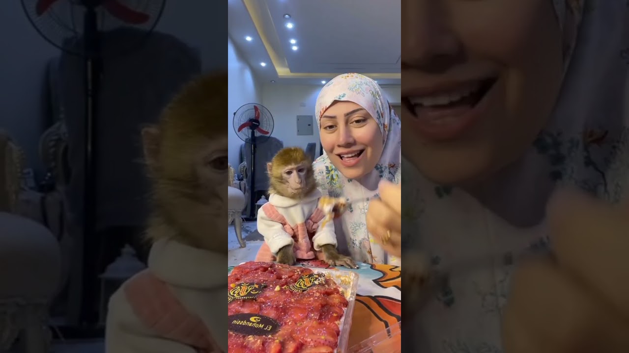 تعالو نشوف شاكيرا بتاكل حلويات مع ام دونا😂😂