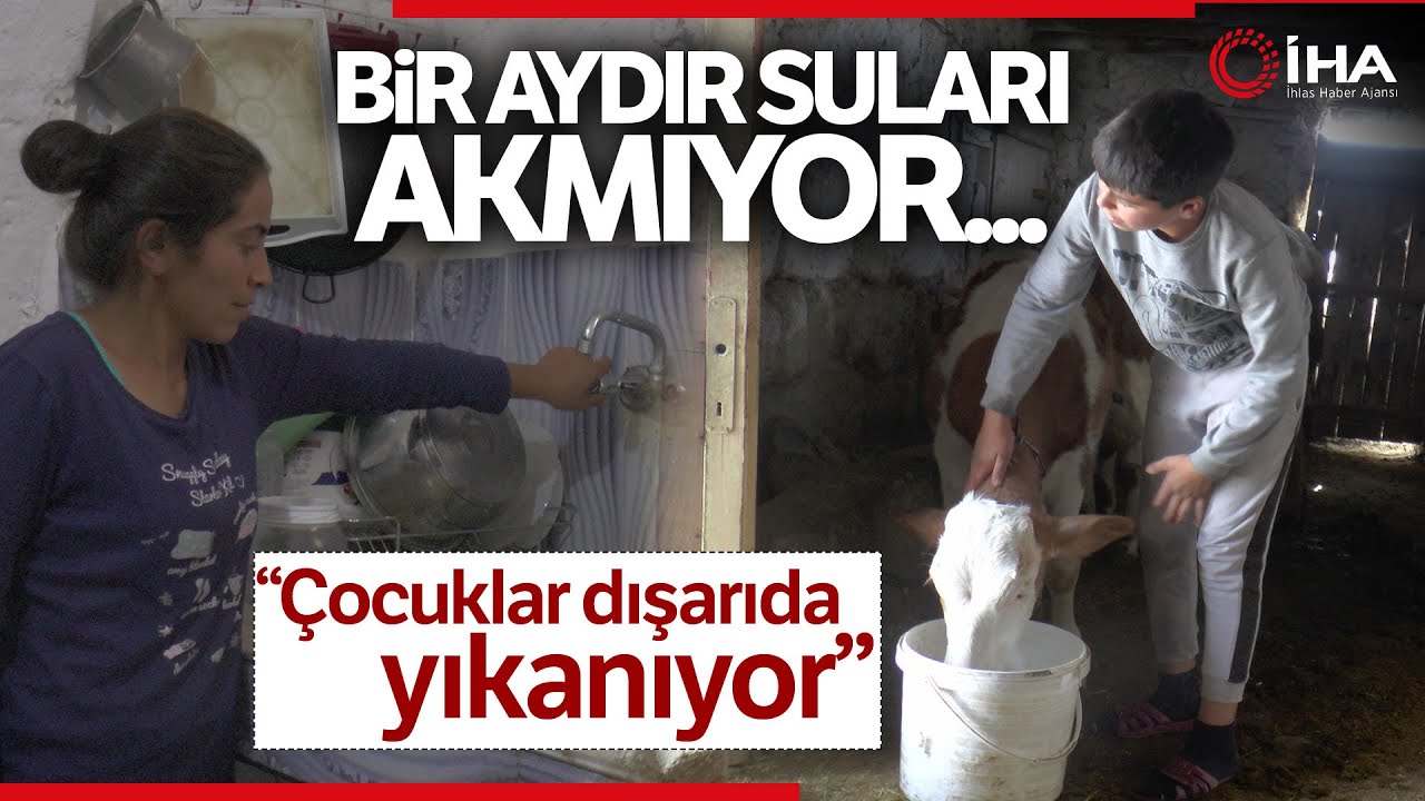 Muhtarın, 