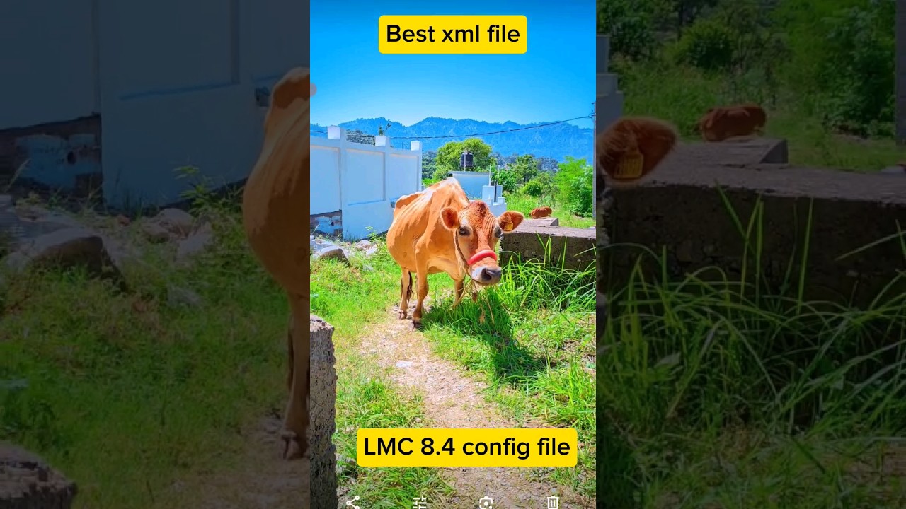 Best xml file for lmc 8.4 r17 gcam #lmc8 #gcam #gcamlmc