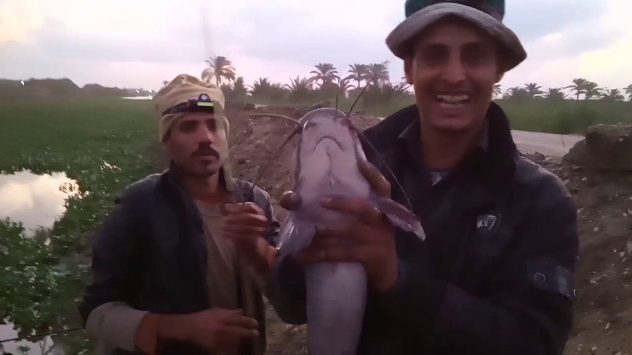 اقوى فيديو قرموط بالعجينه