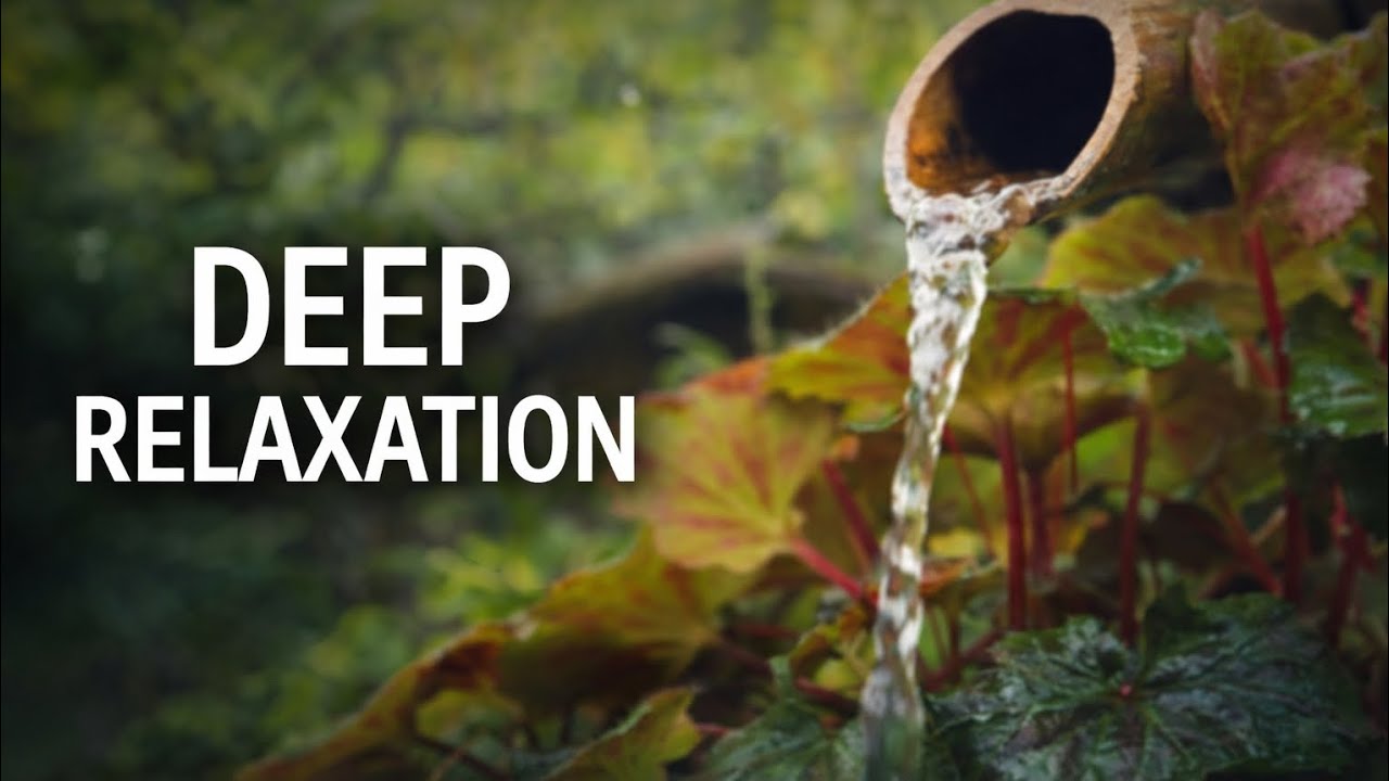 1 Hour Healing Meditation Music 432Hz with Nature Sounds | Deep Relaxation