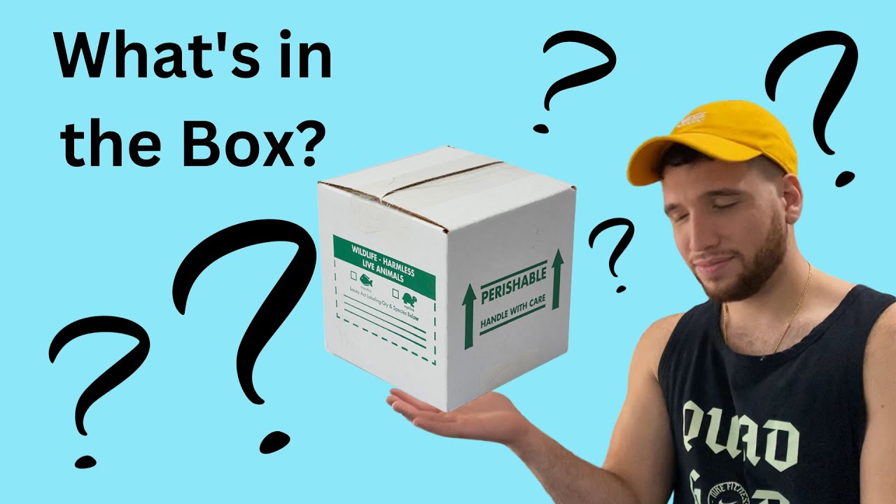 Kimberley Rock Monitor Unboxing!