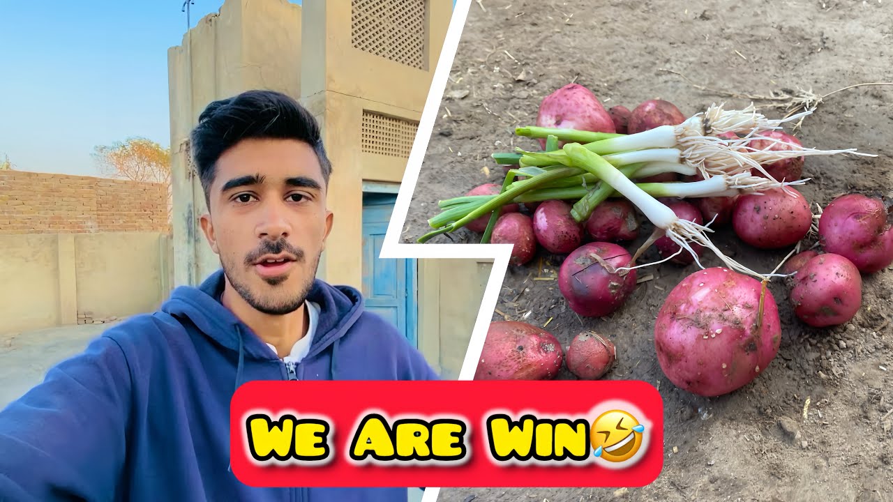 Ahsan K Sath Lagii Bet Ham Win Kr Gae 🤣 آلو مولیاں لہسن اکھاڑ لیا 🥰