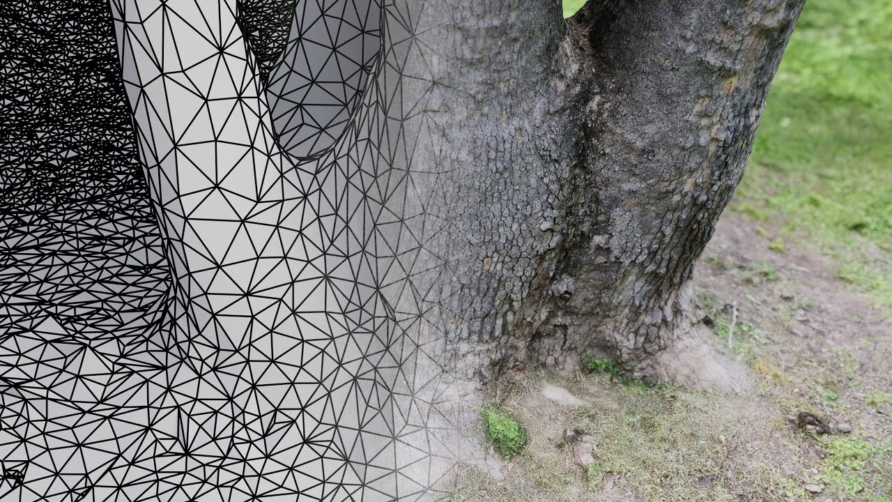 Digitizing a tree with photogrammetry