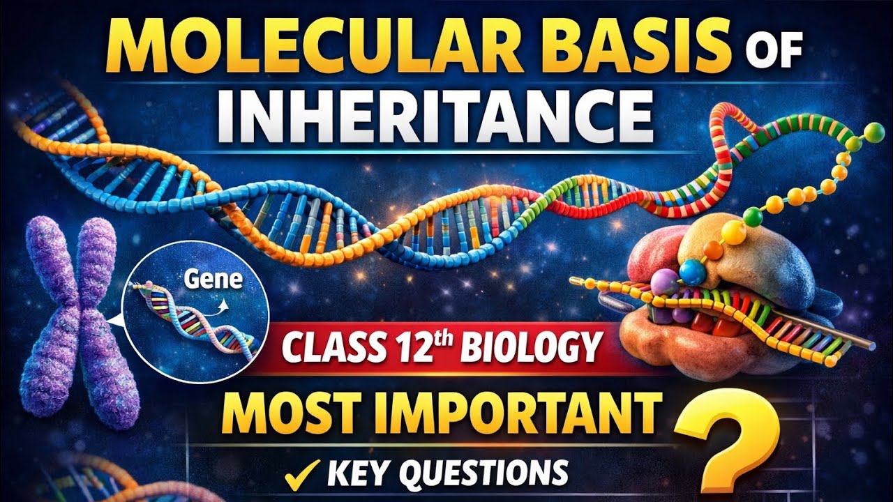 Molecular Basis of Inheritance Most Important MCQs 🔥 | Class 12 Biology PDF #biology 