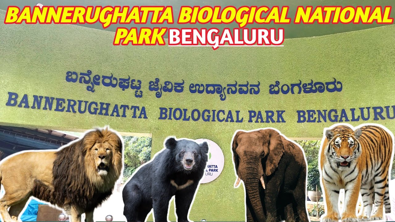Bannerghatta Biological Park Bengaluru 😱 | Lion Tiger Bear 🦁🐯🐻 | Full Zoo Tour 2026 #tiger #ZooVlog