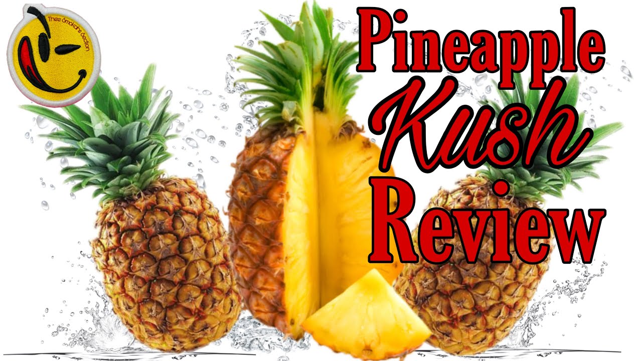 Weed Review: Pineapple Kush, News Sesh and more....