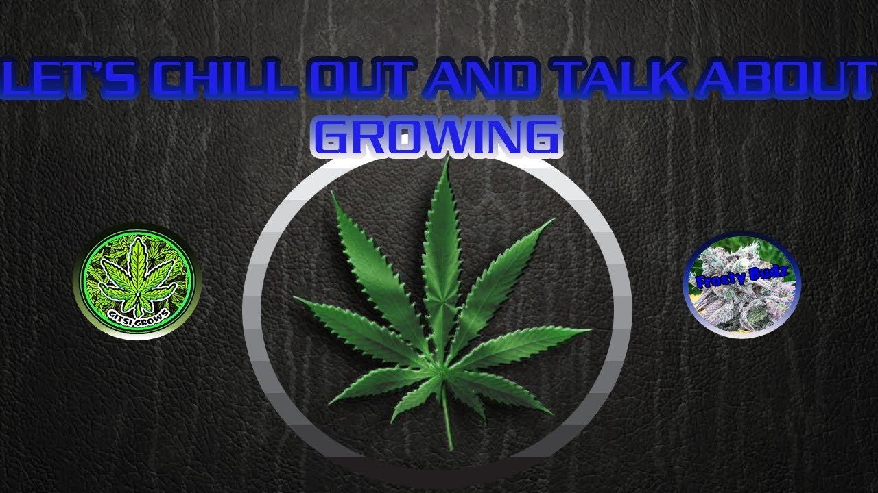 Come Chill Hangout Let's Talk About Growing With Frosty Budz