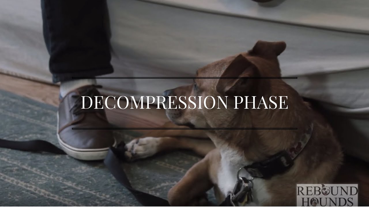 Decompression Phase