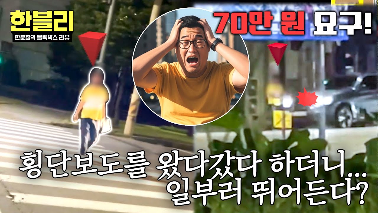 [한블리] 정확하게 횡단보도 안에서 부딪히는...💥 잠복근무로 잡아낸 자해 공갈 현장💢 | 한블리 (한문철의 블랙박스 리뷰) 159회 | JTBC 260128 방송