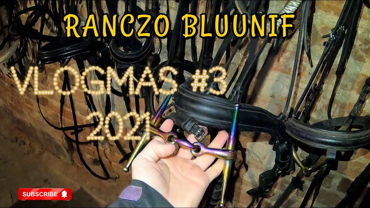 VLOGMAS #3 / OGŁOWIA / OBOWIĄZKI W STAJNI