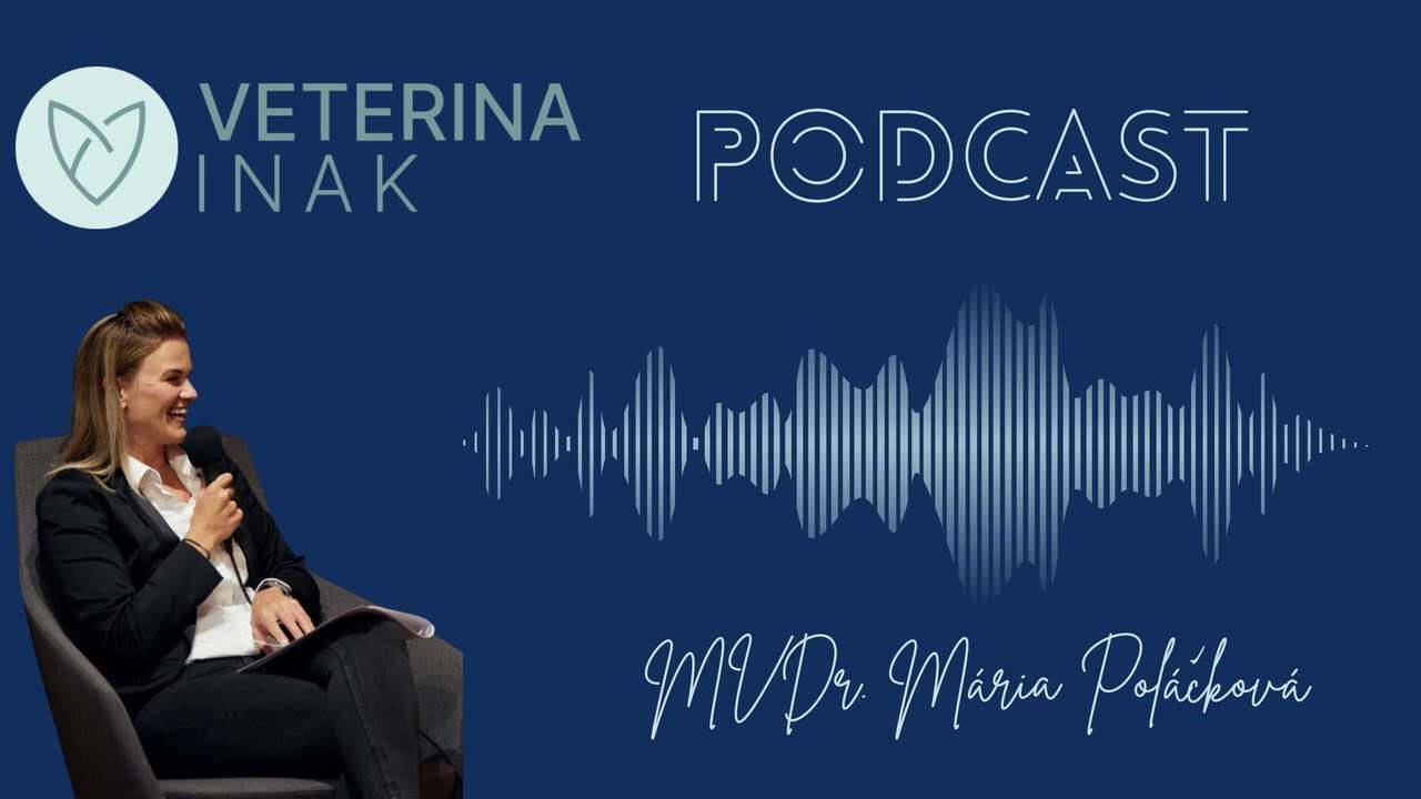 E4 -  Nemecká doga v garsónke?