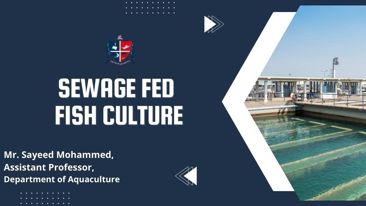 St. Albert's College Autonomous, Ernakulam - SEWAGE FED FISH CULTURE, Mr. Sayeed Mohammed