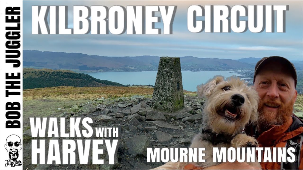Walks with Harvey - Mourne Mountains, Kilbroney Circuit