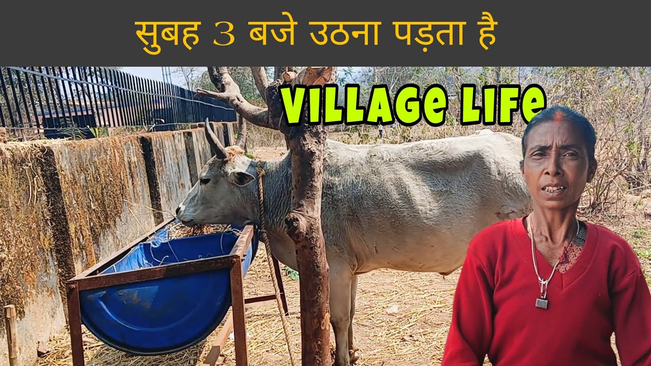 गांव जहां संघर्ष से जीते हैं लोग || Explore village lifestyle #dailyvlog