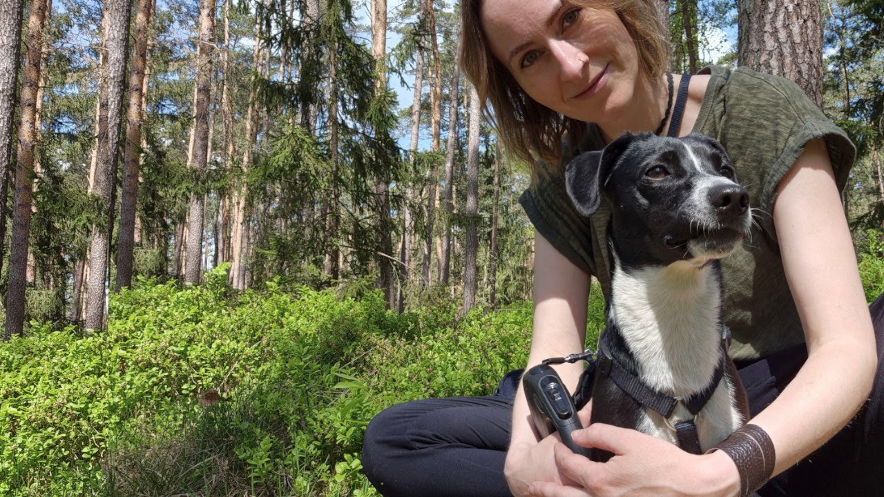 Ich hol mir 1 Hund aus dem Tierheim | Die ersten 24h mit Pepper Igraine