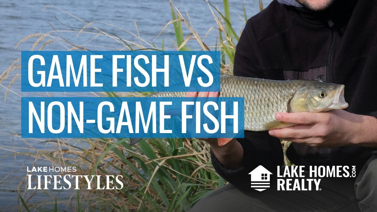 A Guide to Understanding Freshwater Game vs. Non-Game Fish | Lake Homes Lifestyles