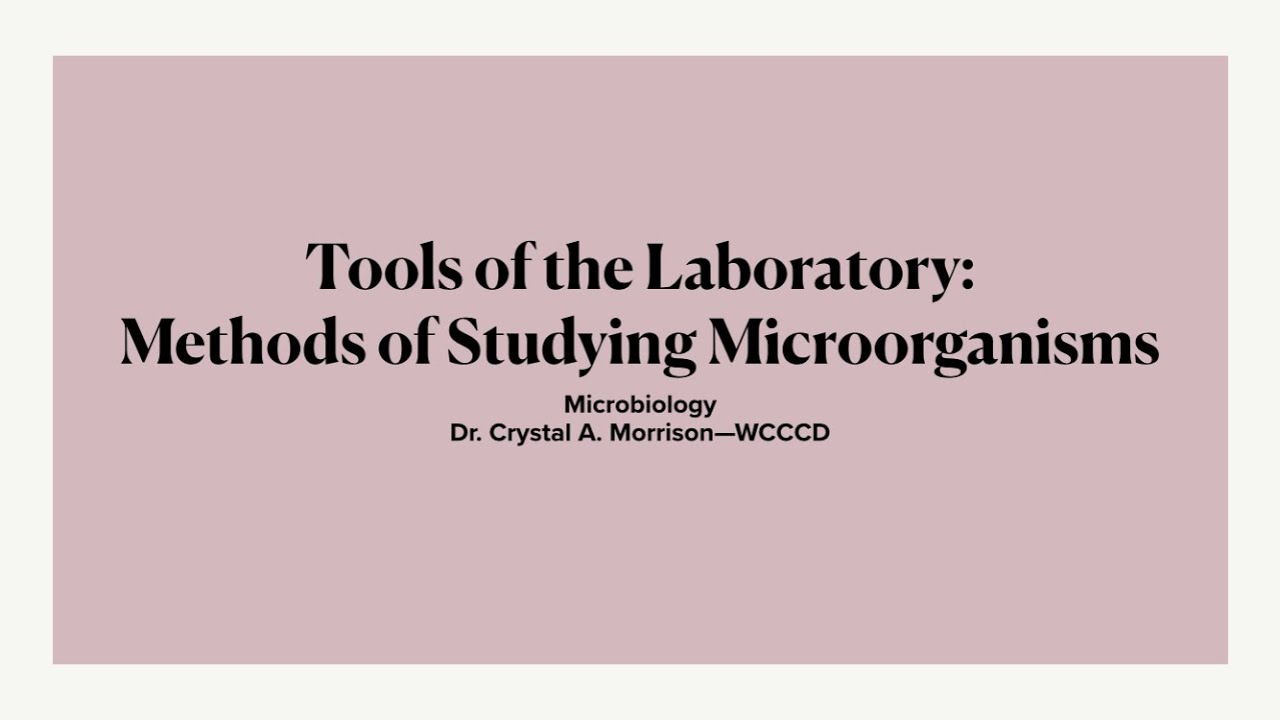Lecture 3: Tools of the Laboratory--Microbiology with Dr. Crystal A. Morrison
