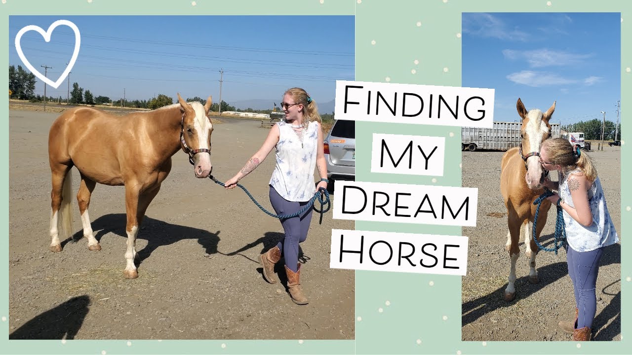 Getting My New Horse at a Horse Auction Vlog #2