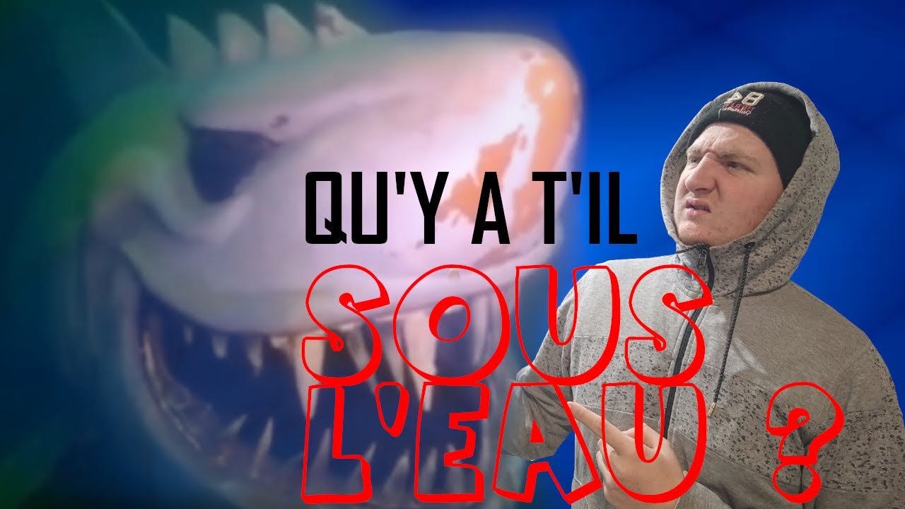 Que Se Cache T'il Sous L'eau ? - ROUXBINOF