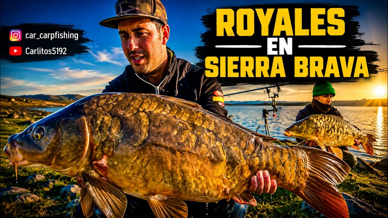 Carpfishing Royales En Sierra Brava