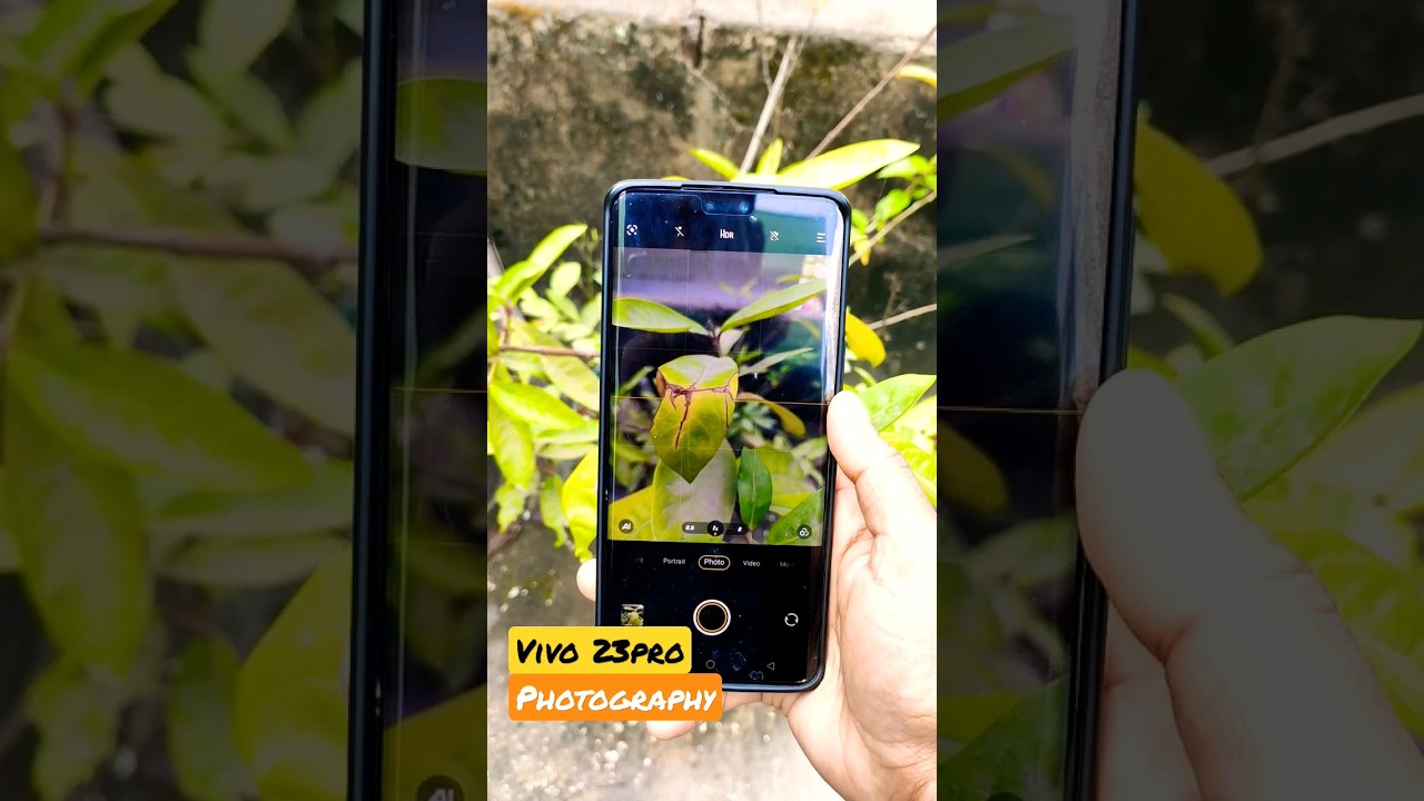 vivo v23 pro photography 📸❤️ #youtubeshorts #shorts #subscribe #trending